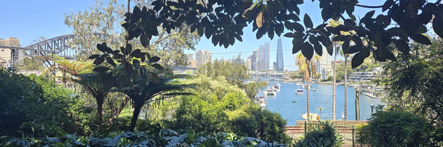 Rania 🇭🇲 🇱🇧 𐤓𐤍𐤉 banner