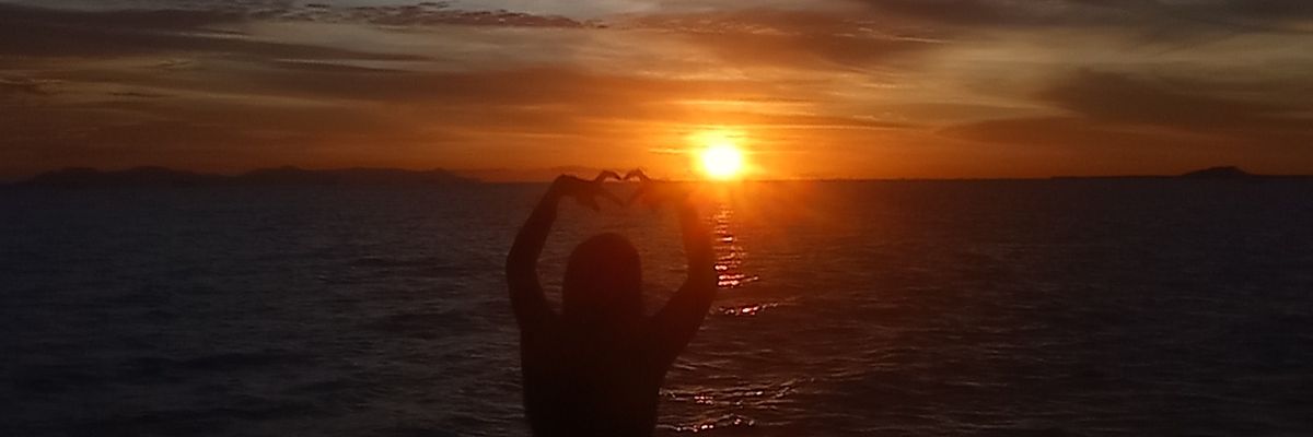 upisaurus's profile banner image