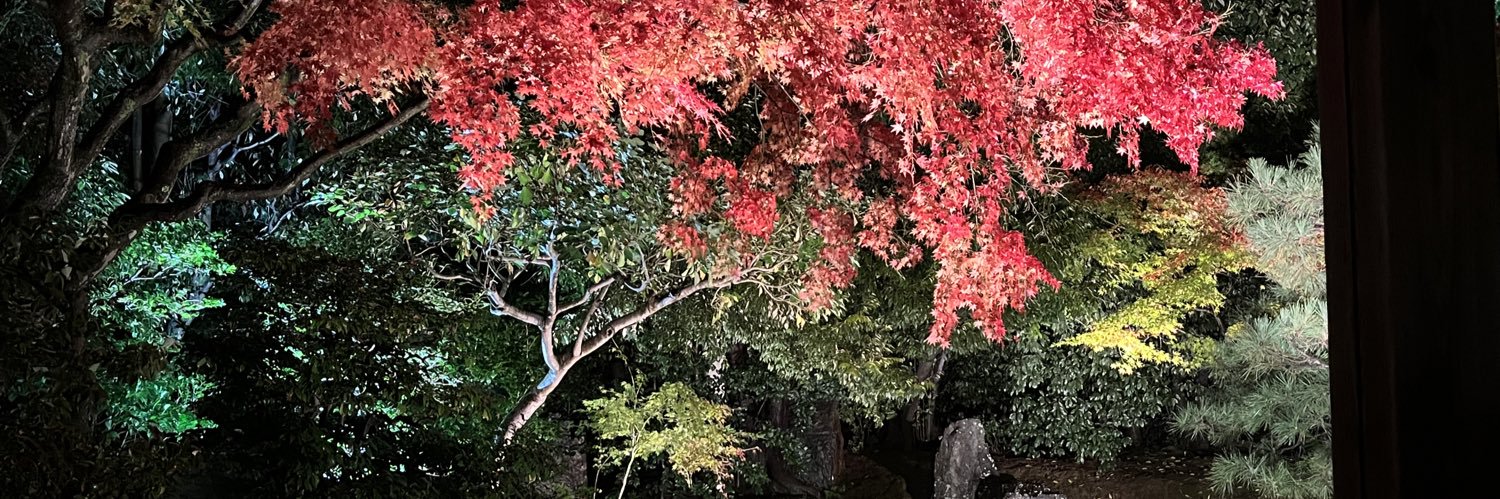 suuffXIV's profile banner image