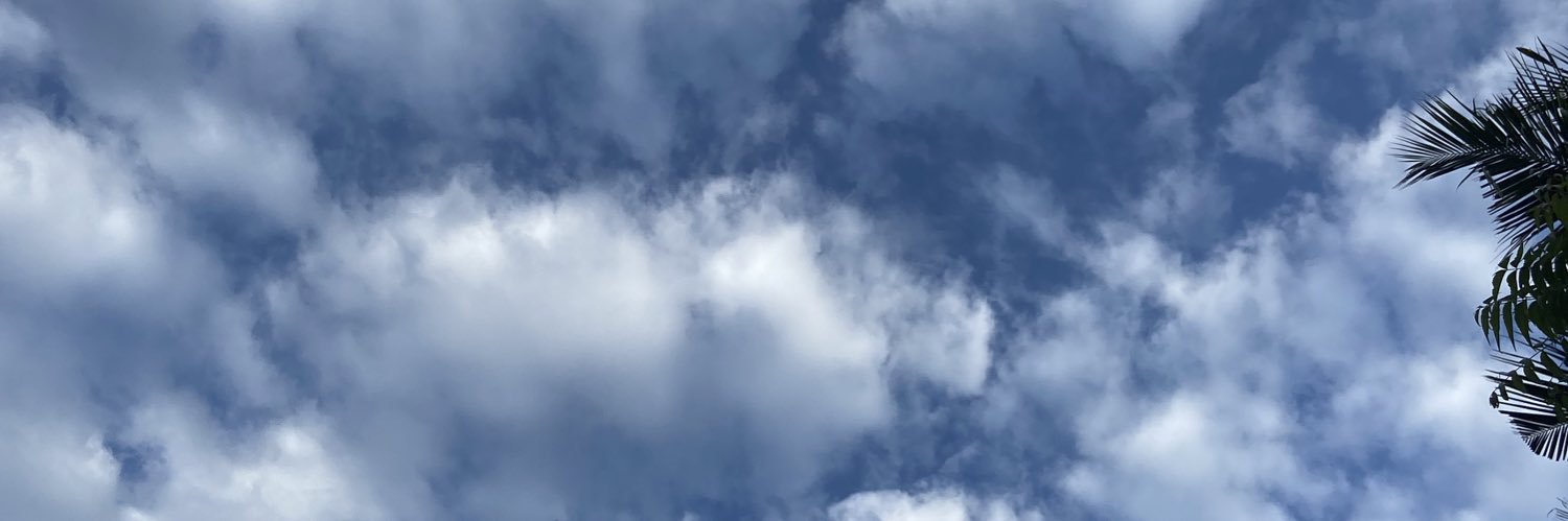 gowrida's profile banner image