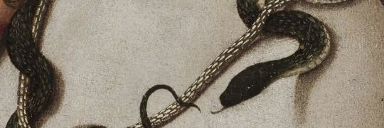 tabla666's profile banner image