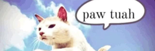 Heelcat 🍋 banner