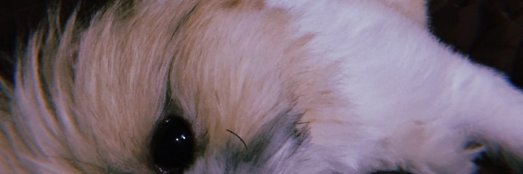 LendlMae's profile banner image