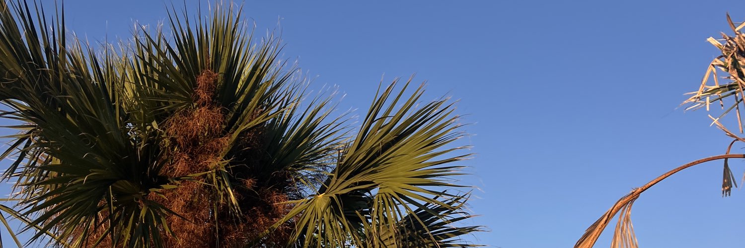 tarasimp08's profile banner image