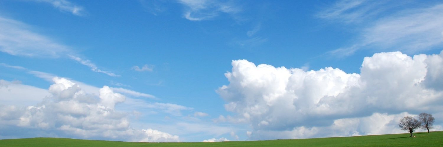 QueefingElon's profile banner image