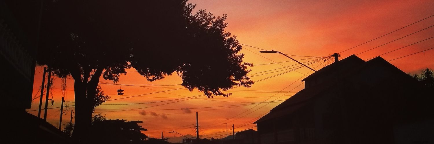 RobertoBoccucci's profile banner image