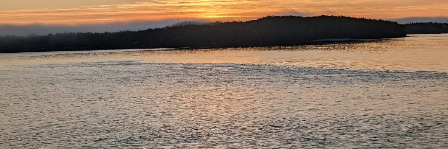 11Busbaby's profile banner image