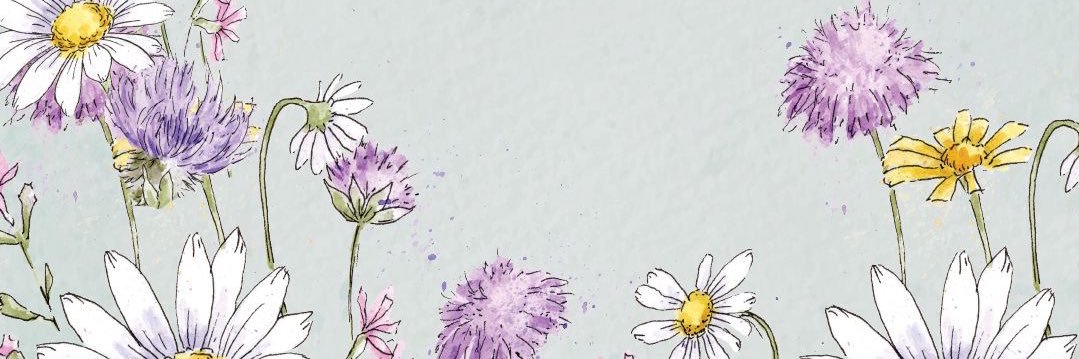 Stefffanierae's profile banner image