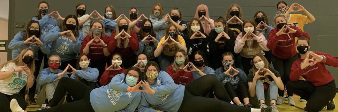 Phi Sigma Sigma banner