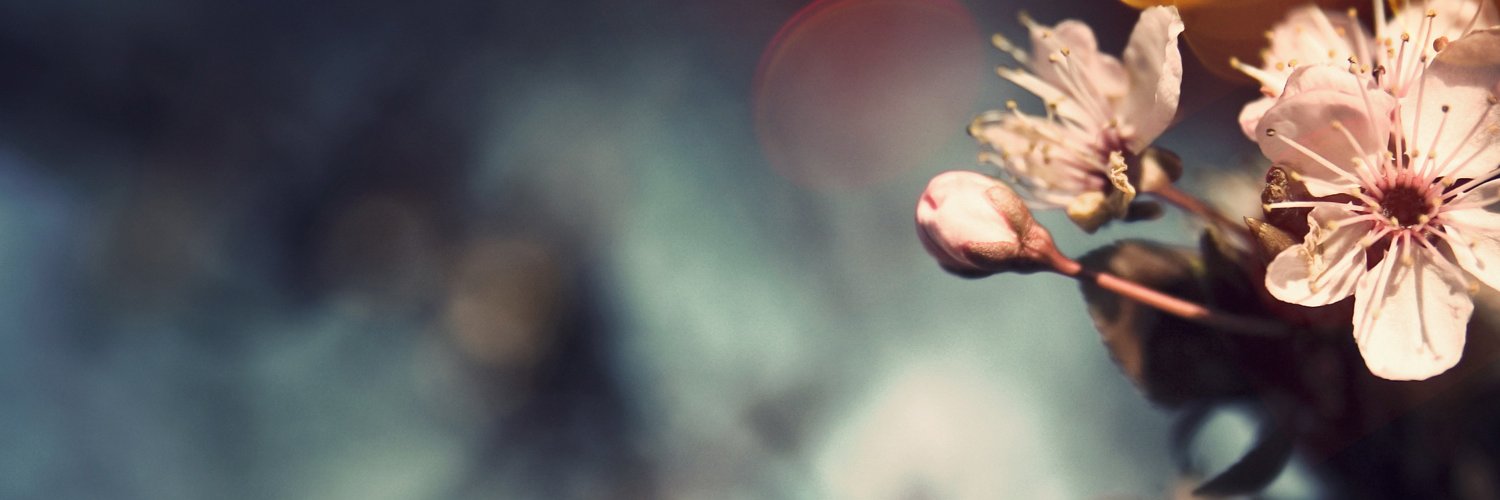 Emie_Octavia's profile banner image