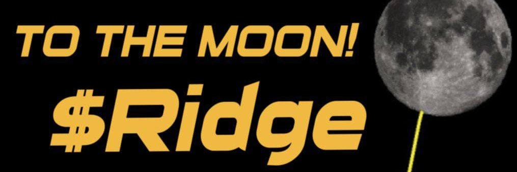 denirulz only $Pi NETWORK 🚀🚀🚀 also TESLA LOVER. banner