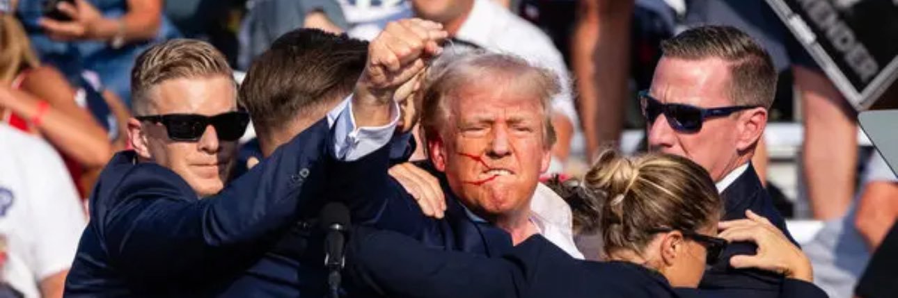 Trumpeans banner