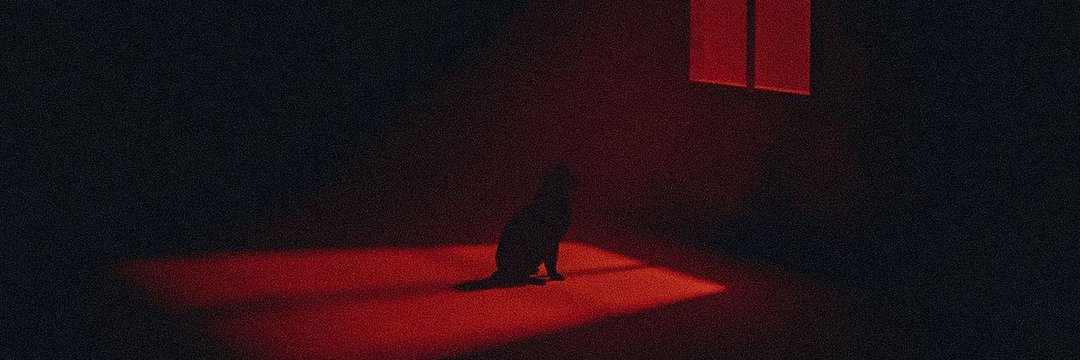 evil👑🐍 banner