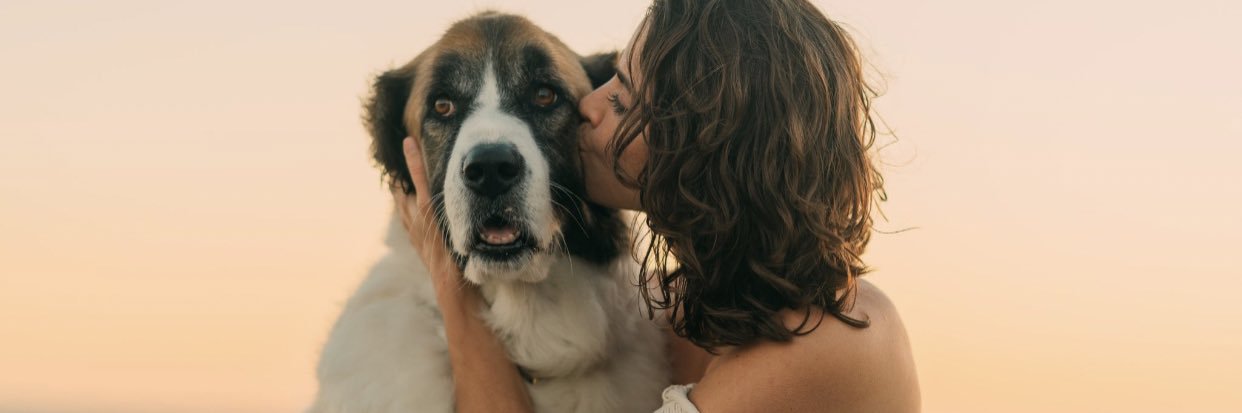 KellyAnne Judd banner