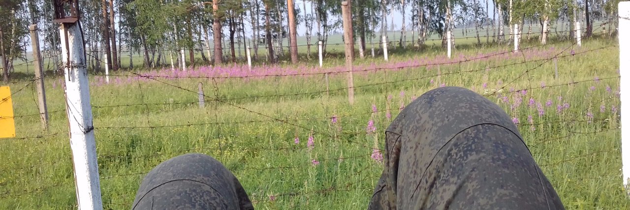 Nikita Strakhov banner