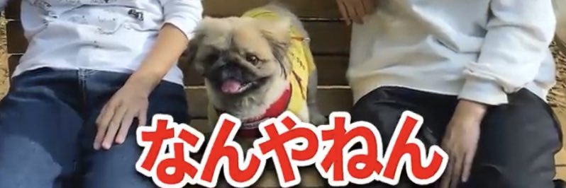 comandantetko's profile banner image