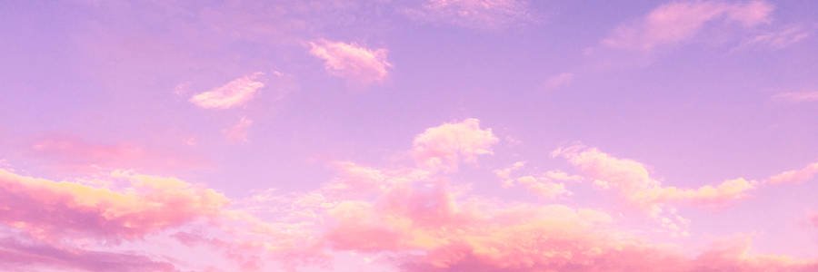 poringberry's profile banner image