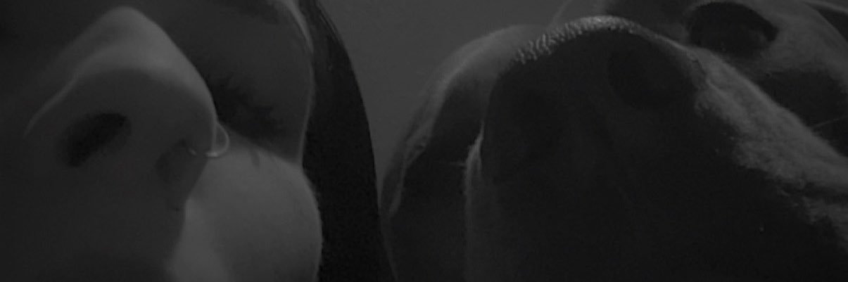 bayleesoleil's profile banner image