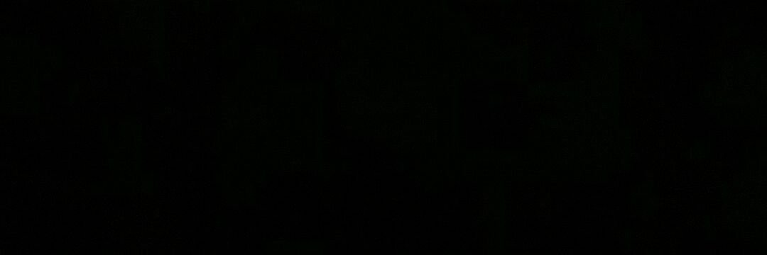 Ricardo Robles banner