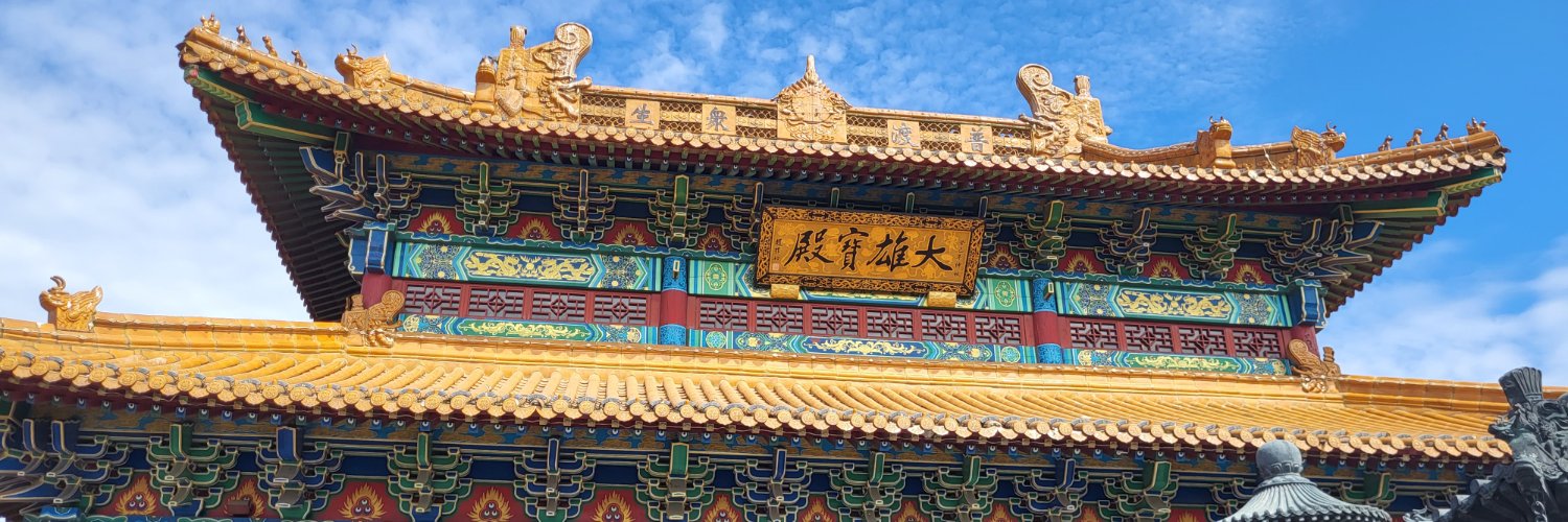 Kingring96D9's profile banner image