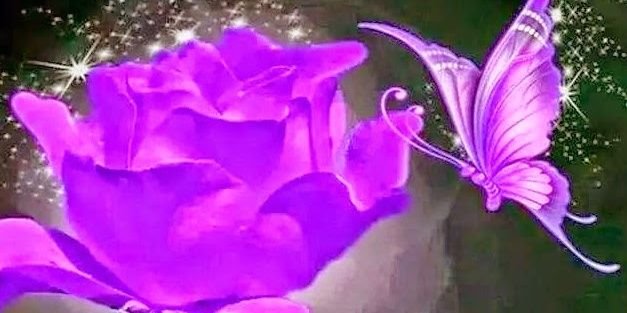 RaeleneScoco's profile banner image