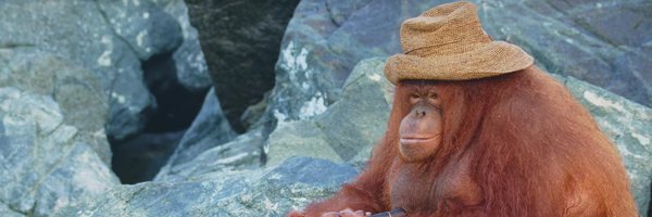 the_papacy_ Profile Banner