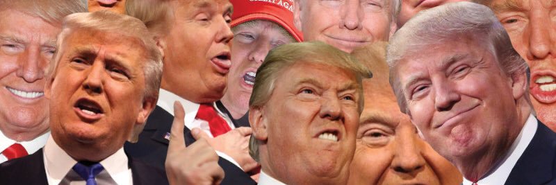 Trump Search History banner