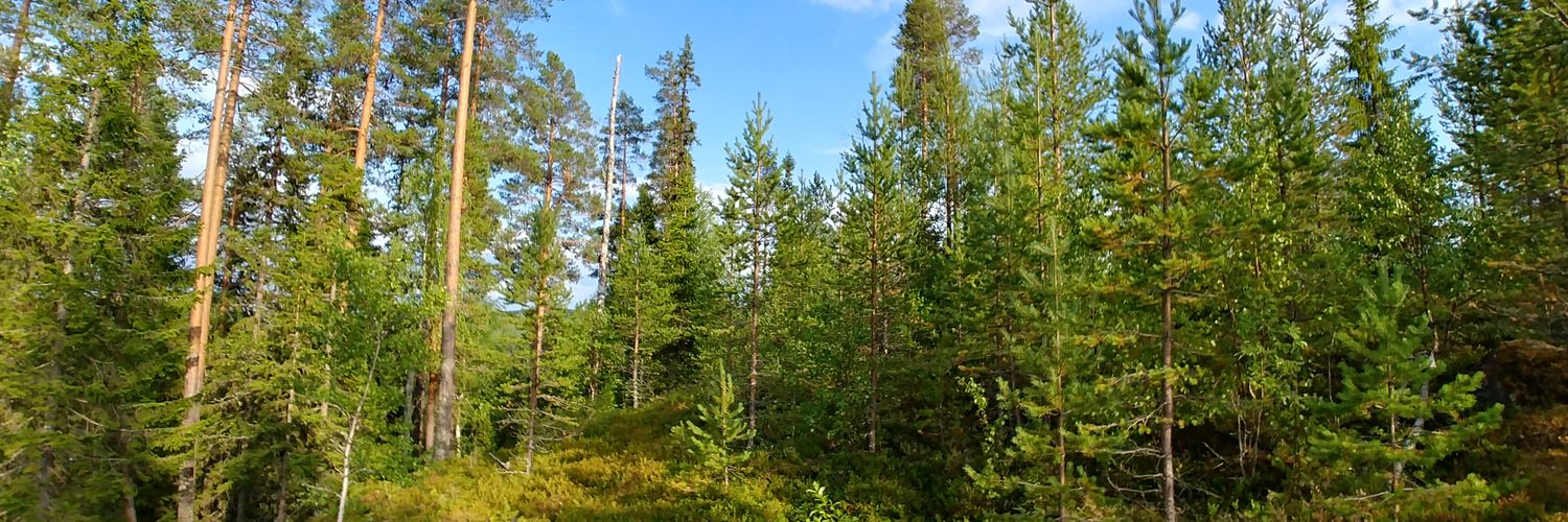 millisen206's profile banner image