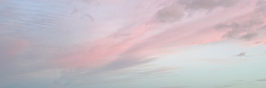 ohwhyharry's profile banner image
