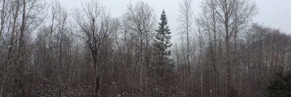 CameronJim4 Profile Banner