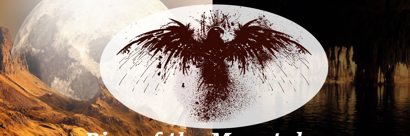 SJSior's profile banner image
