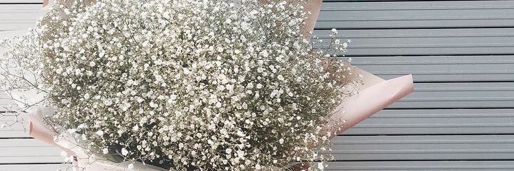 honeysaruda's profile banner image