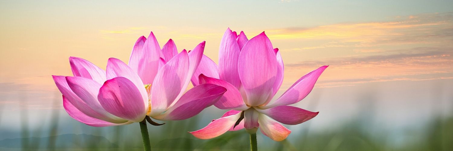 Ayu79asih's profile banner image