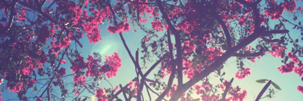 brunalmeidac's profile banner image