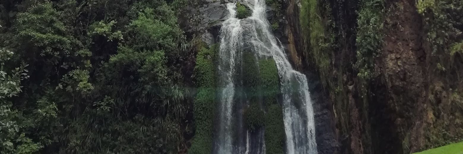 Alexander Forero banner