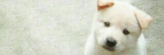 seilao's profile banner image