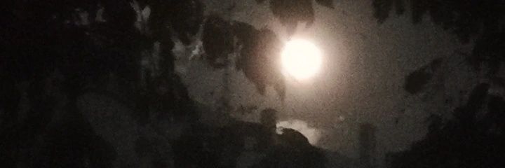 Alonely2ooo's profile banner image