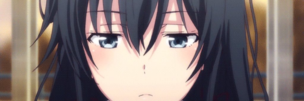 Stve banner