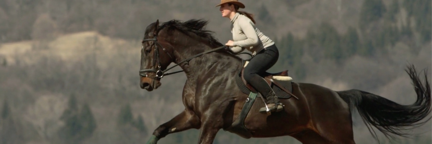 BarbaraEllinFox's profile banner image