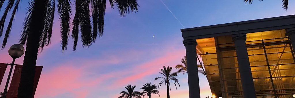 annarreig's profile banner image
