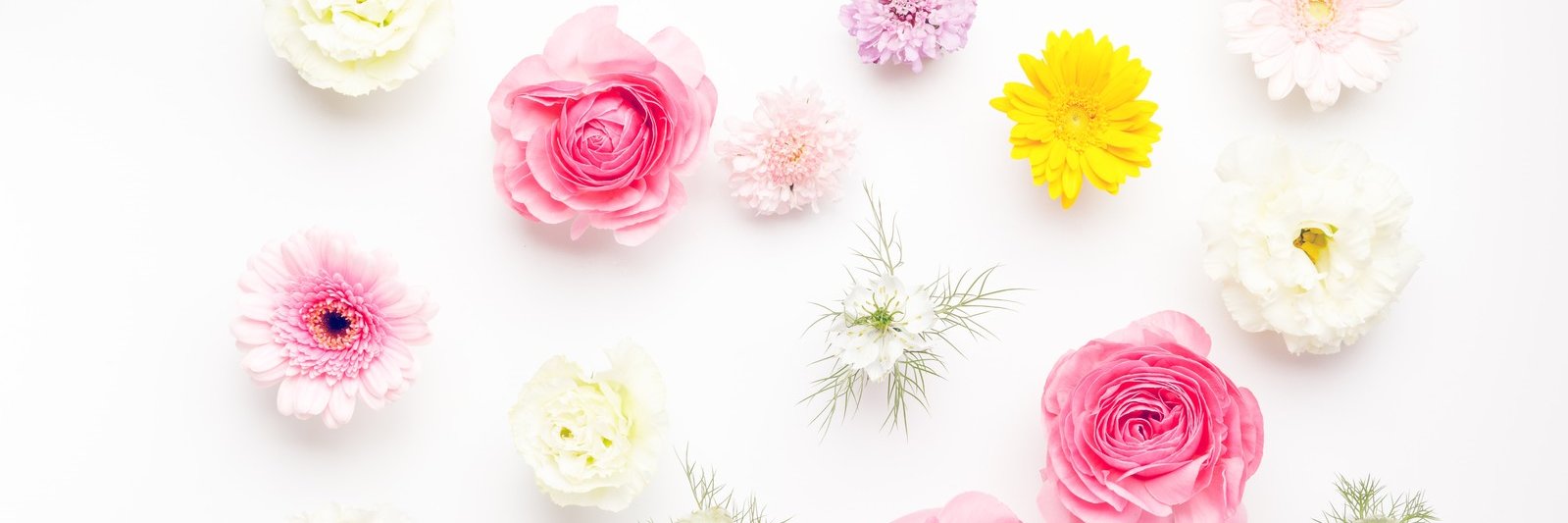 北の茉莉 banner