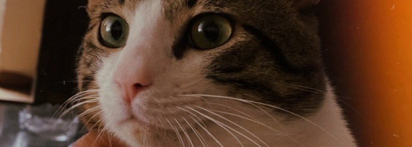 SoriiD98's profile banner image