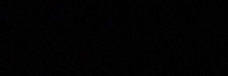 lanahamburger's profile banner image