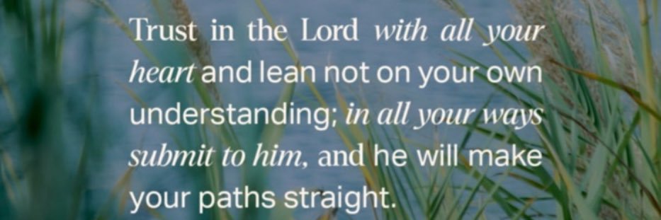 Jagger Fields banner