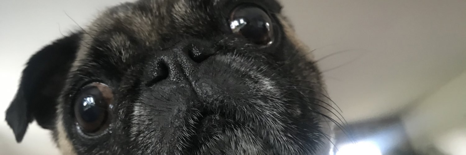 mcgasmark's profile banner image
