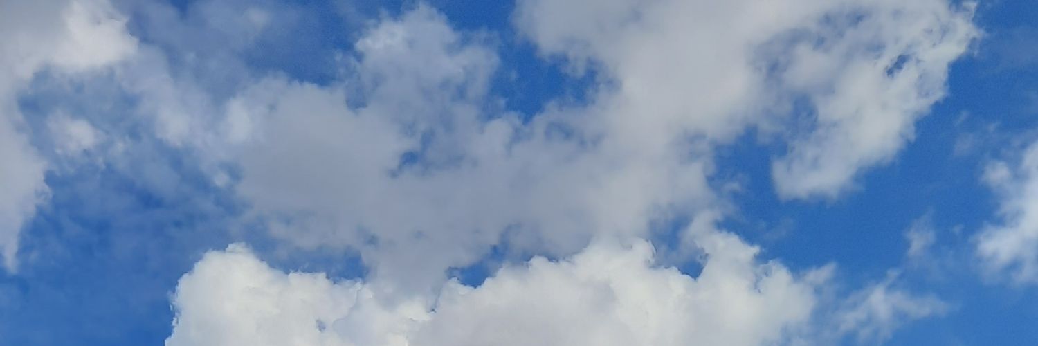siscamarantika's profile banner image