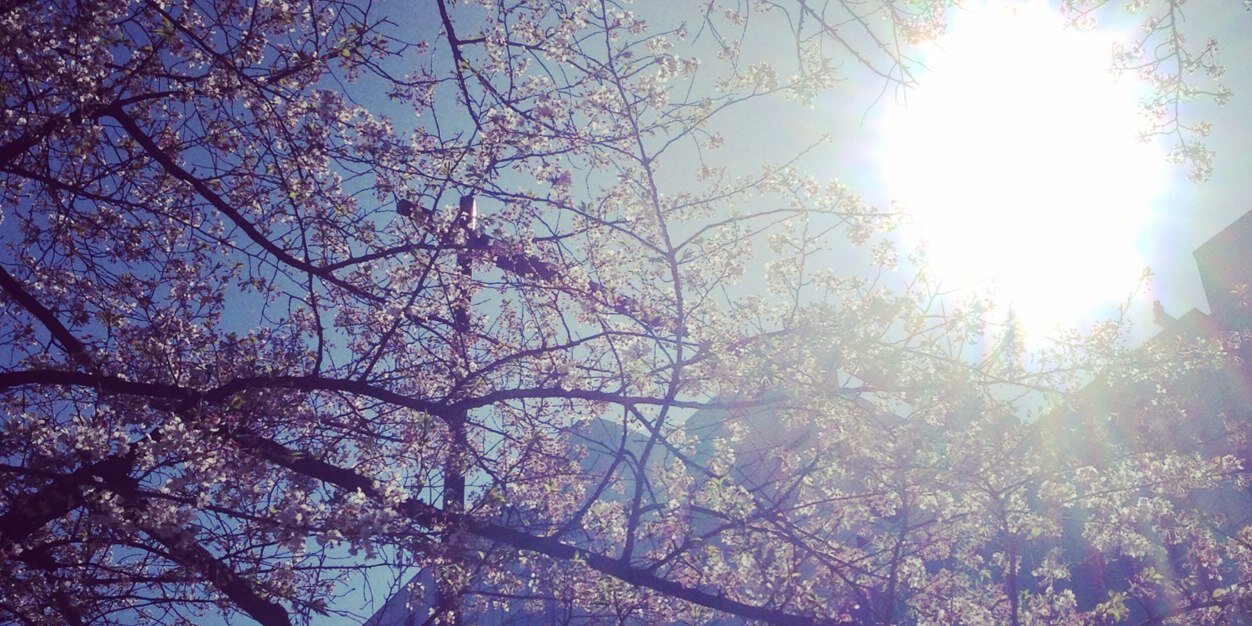 はねたくん banner