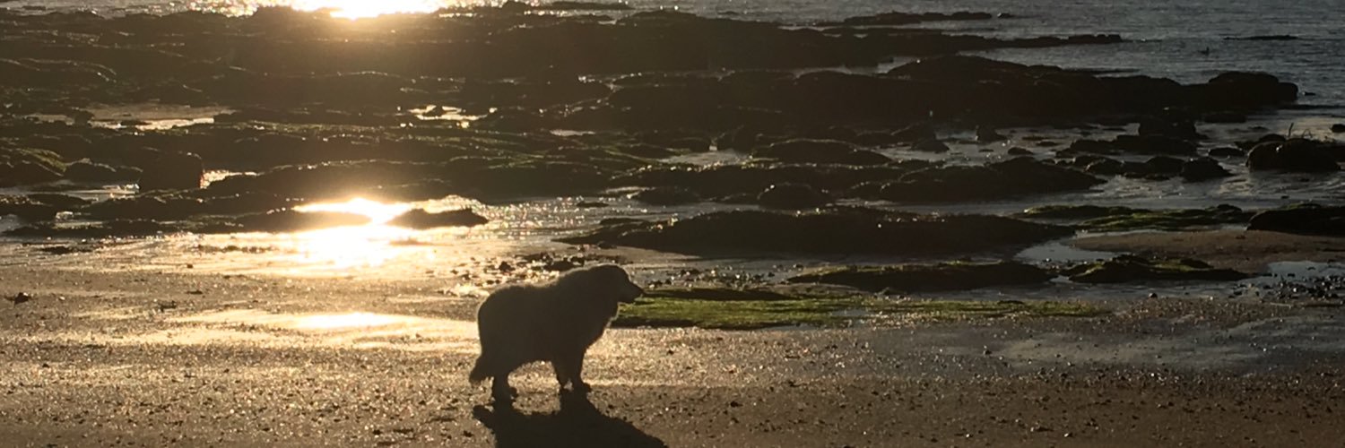 teazeleb's profile banner image