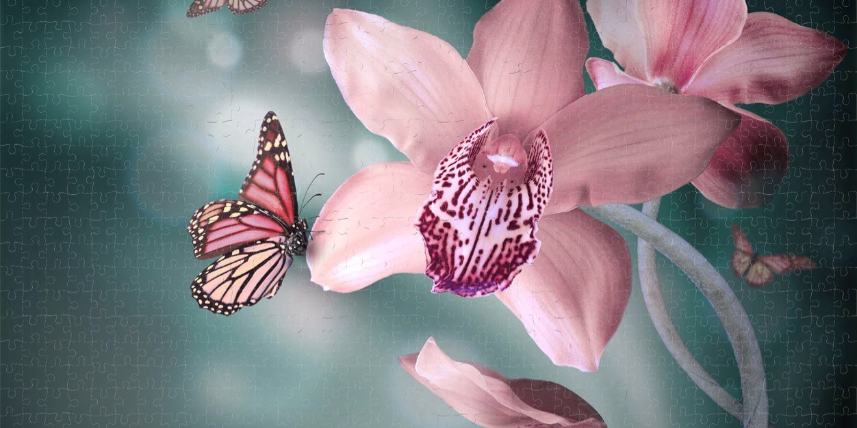 pagescl's profile banner image