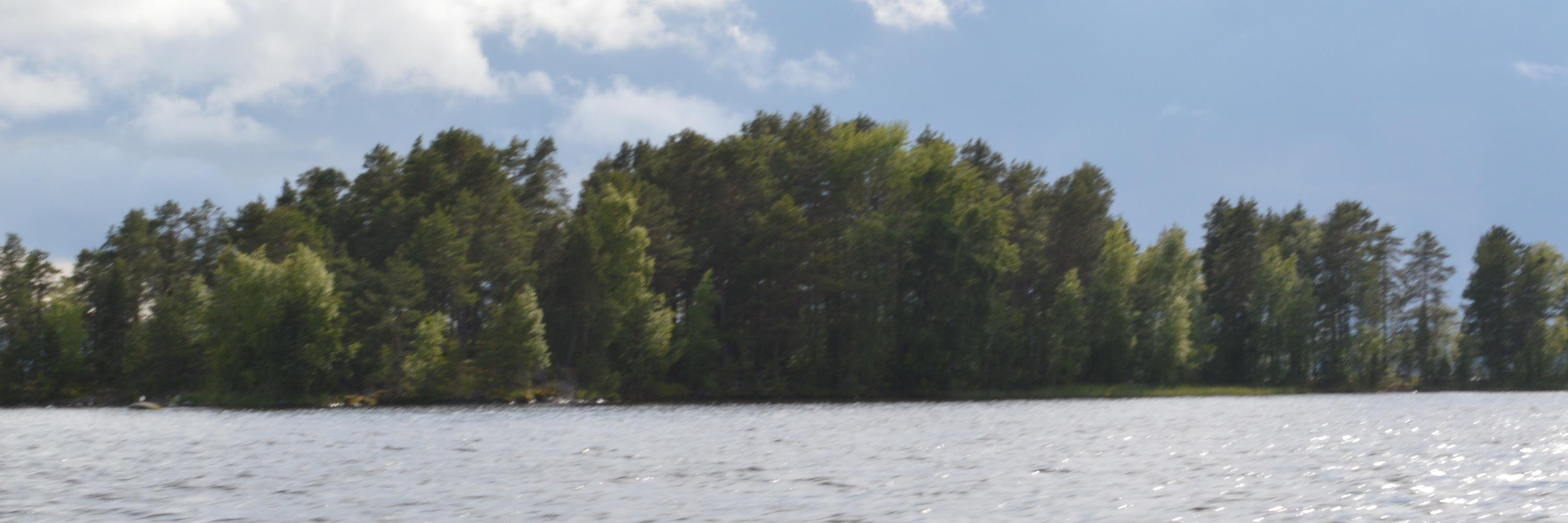 Mikael Kosola banner